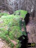 Diabasbombentuff-Felsen am Alten Schloss und im Tal der Sächsischen Saale bei Köditz nahe Hof, Oberfranken, Bayern, (D) (24) 04. Oktober 2014.JPG